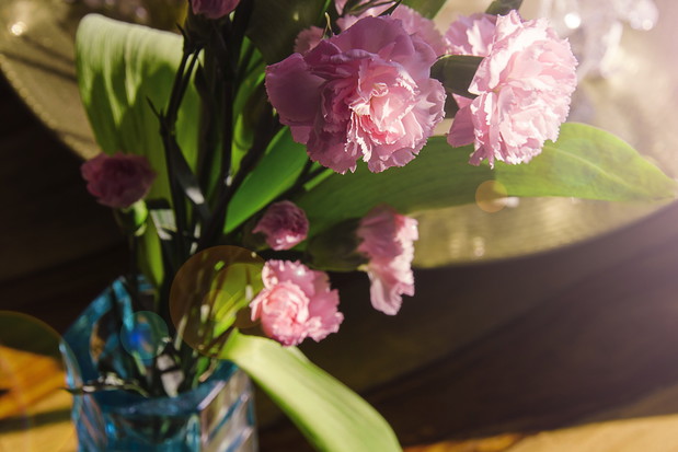 Goździki są cenionymi kwiatami bukietowymi ze względu na swoją żywotność, w wazonie potrafią wytrzymać nawet do dwóch tygodni (zdj.: Fotolia.com)