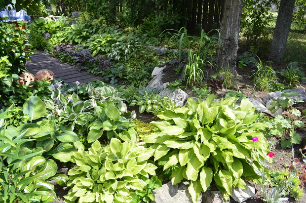 Grunt to zgrane towarzystwo. Funkie w roli głównej.