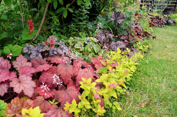 Ile kolorów widzisz?