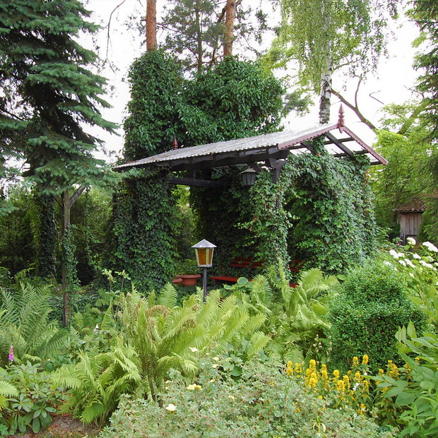 Ja jestem śliczny, wiotki bluszcz, 
A ty to moja podpora. 
Pnę się po tobie wszerz i wzdłuż 
Co dzień, od rana do wieczora. 