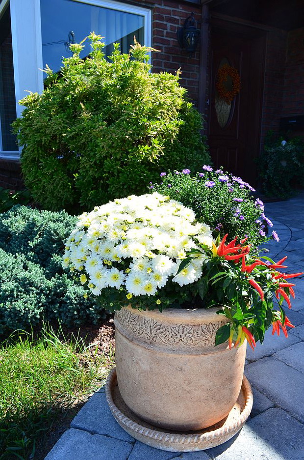Jak co roku na jesień wejście przybiera inna kreację 
