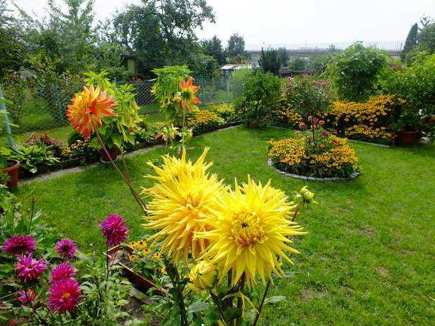 Jedna z kwiatowych wysp