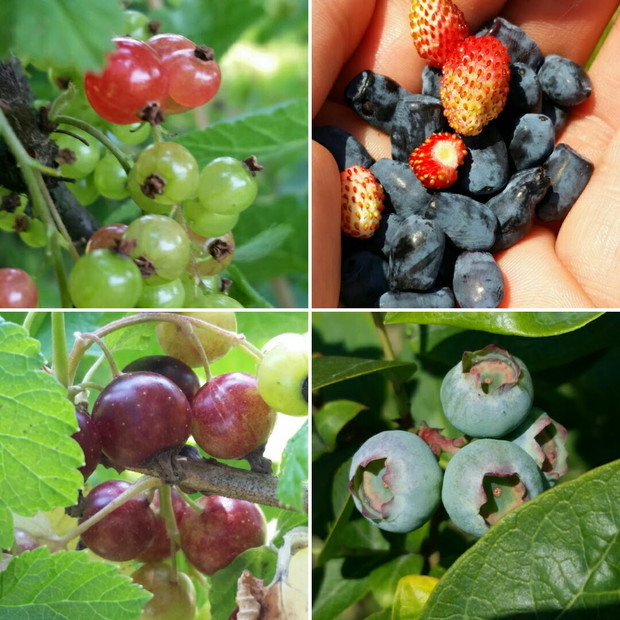 jest też coś dla ciała