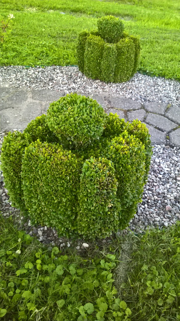 kolejny strzyżony maluch