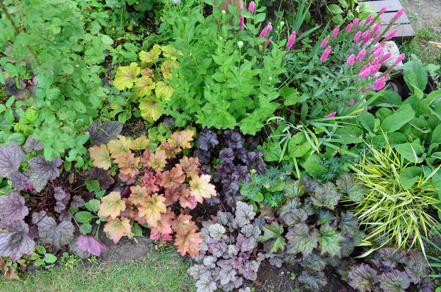 Kolorowej autostrady ciąg dalszy.