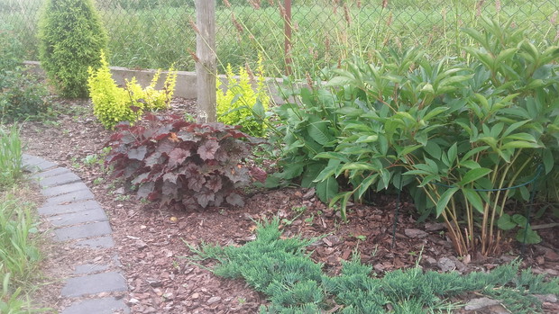 Kolorowo pod karmnikiem