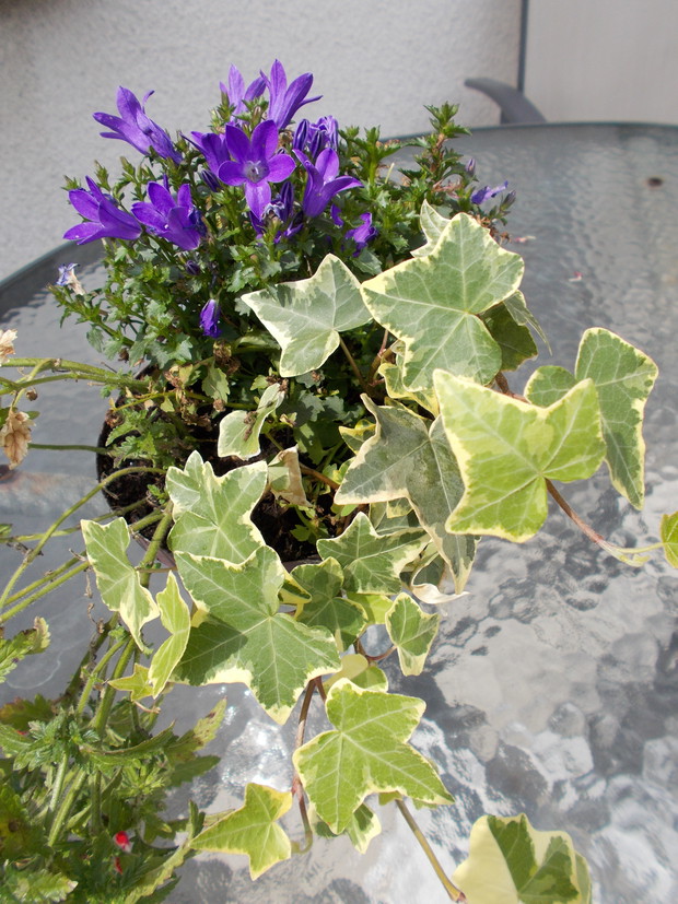 Kompozycja na stole tarasowym