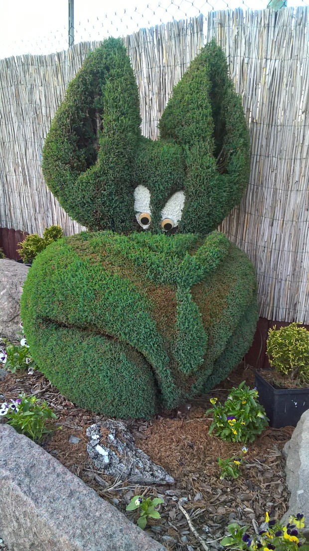 królik z krawatem :)