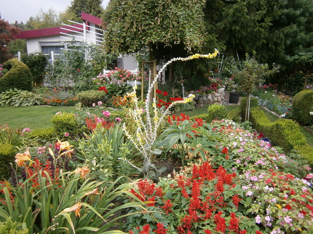 Kwiaty, kwiaty, kwiaty...