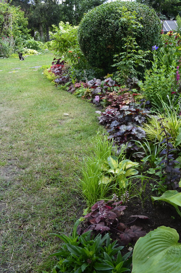 Linie proste? To nie tutaj.