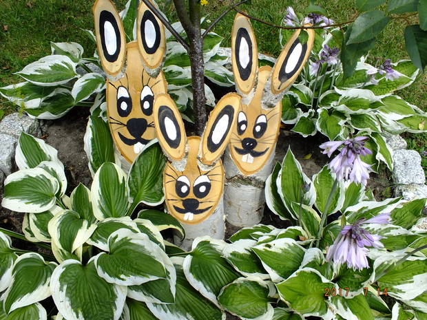 Małe brzozowe zajączki, 