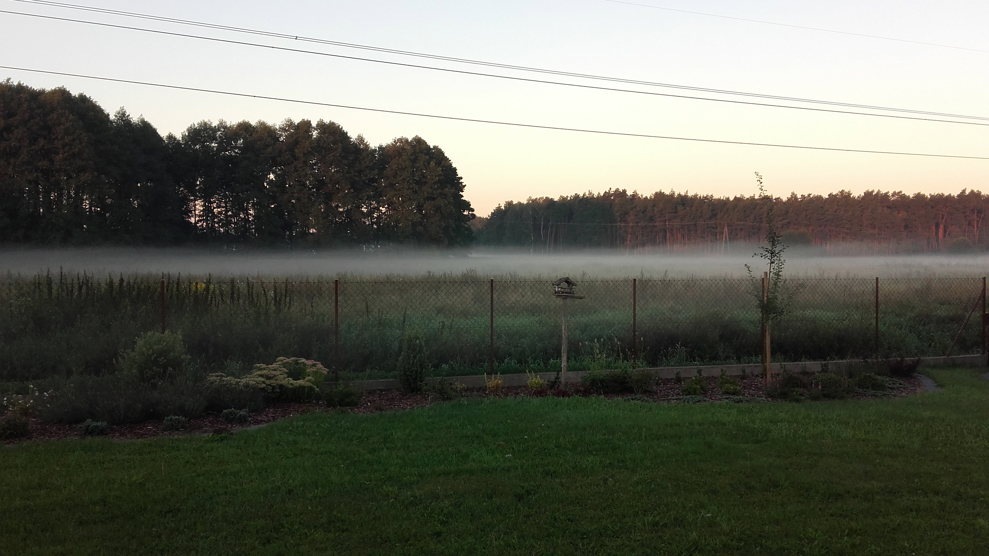 Mgła też ma swój urok