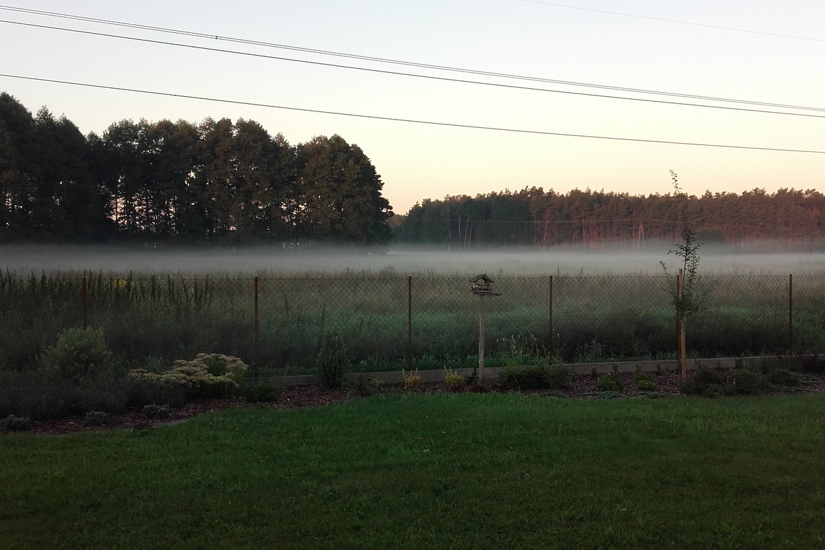 Mgła też ma swój urok