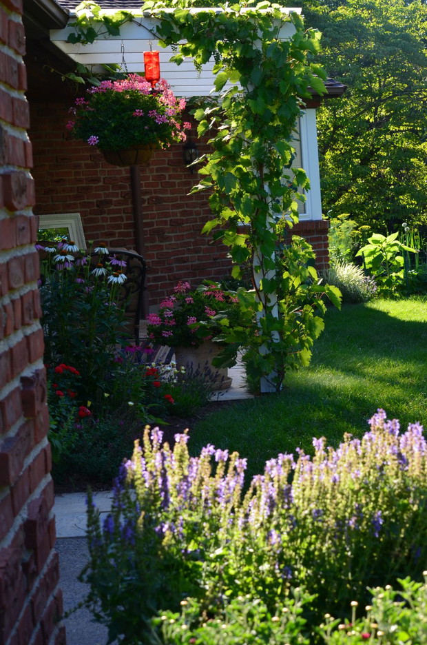 mój taras o poranku