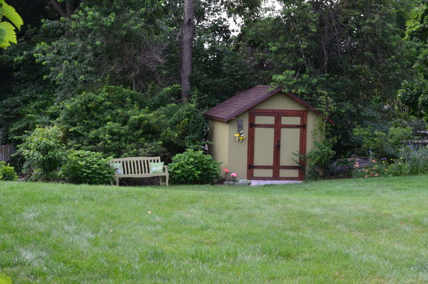 niedługo kolo ławeczki zakwitną hibiskusy 