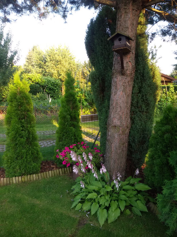 Obowiązkowo jest i karmnik dla małych cwiergotek 