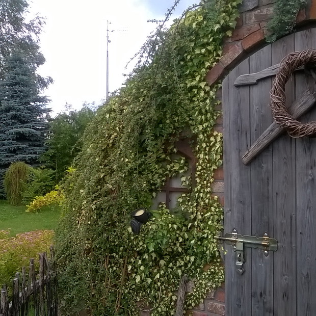 obrośnięta ziemianka