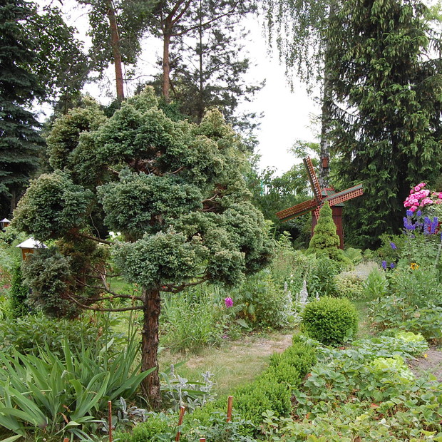 Ogród mój widzę ogromny...