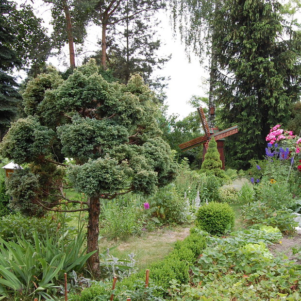 Ogród mój widzę ogromny...