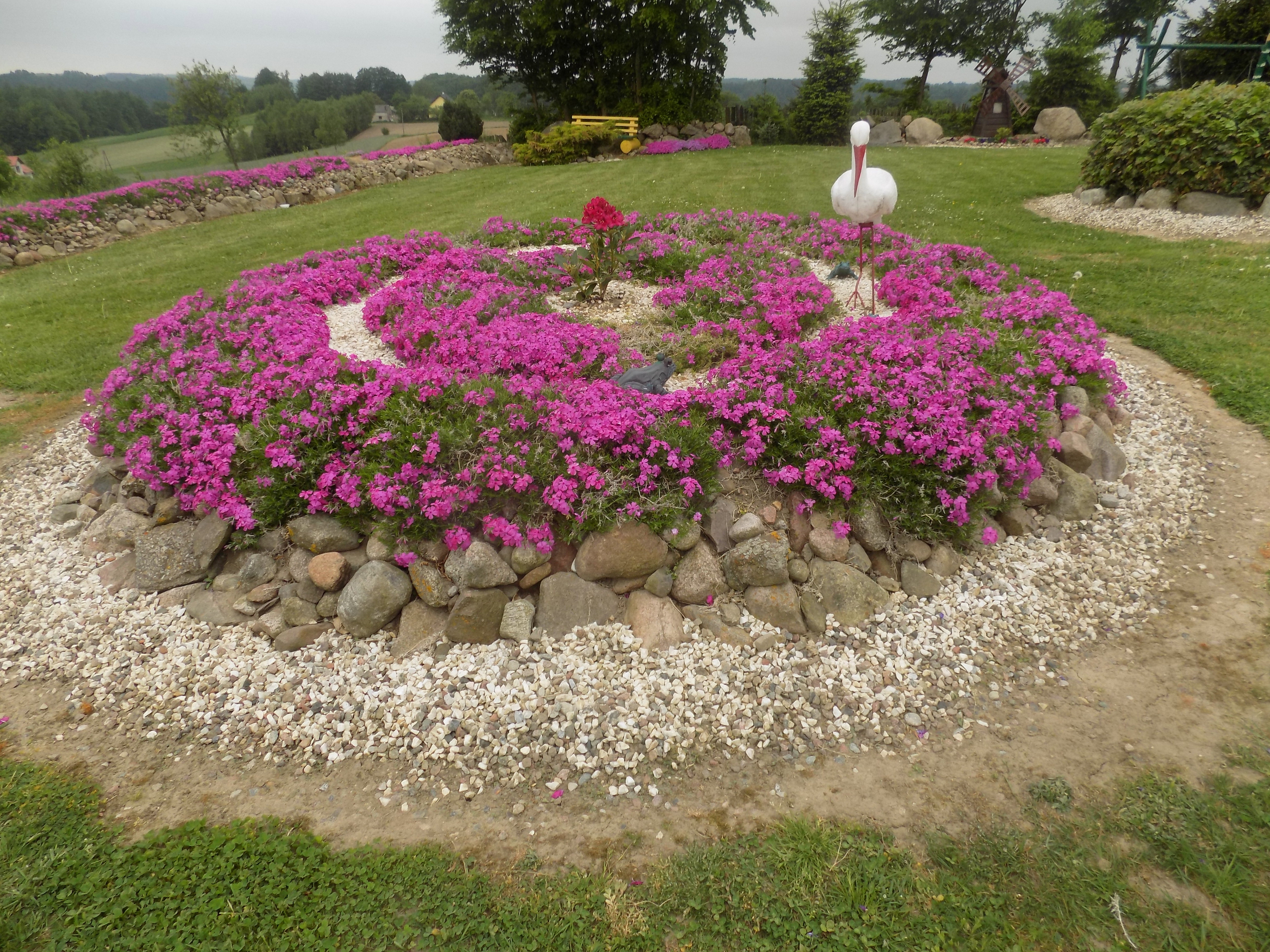 Ogród wspólny mój i moich rodziców uwielbiamy spędzać w nim czas .odpoczywać grillować siedzieć  w altance ale i kosić trawę to świetnie odstresowuje....