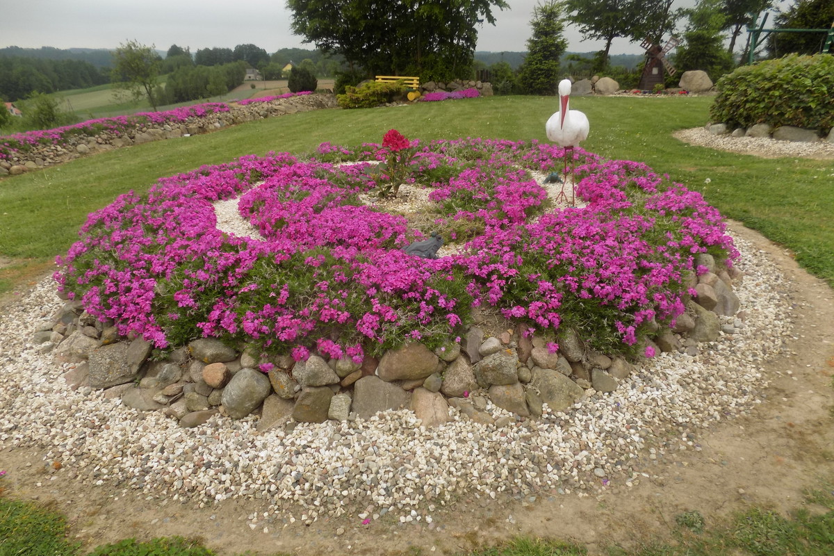 Ogród wspólny mój i moich rodziców uwielbiamy spędzać w nim czas .odpoczywać grillować siedzieć w altance ale i kosić trawę to świetnie odstresowuje....
