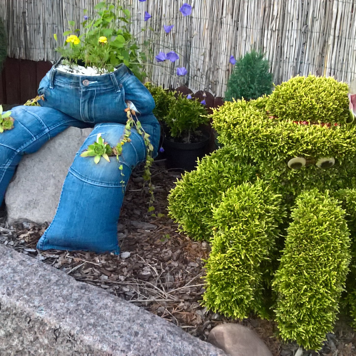 ośmiornica i "gacio-doniczka"