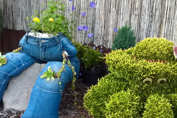 ośmiornica i "gacio-doniczka"