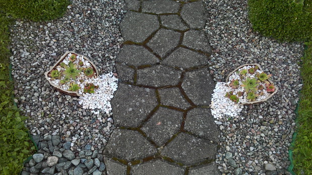 pęknięta donica jest idealna do posadzenia w niej rojników