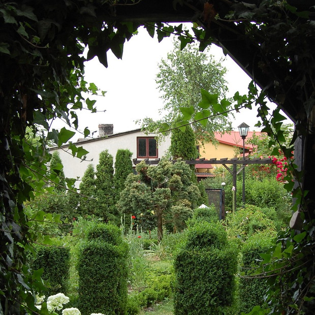 Porośnięte pnączem wejście do altany możemy wykorzystać jako naturalną ramkę do zdjęcia naszego ogrodu.