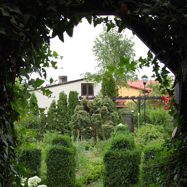 Porośnięte pnączem wejście do altany możemy wykorzystać jako naturalną ramkę do zdjęcia naszego ogrodu.