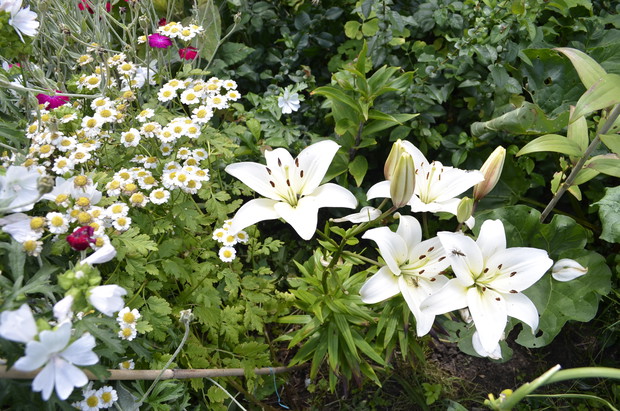 Powiew świeżości.