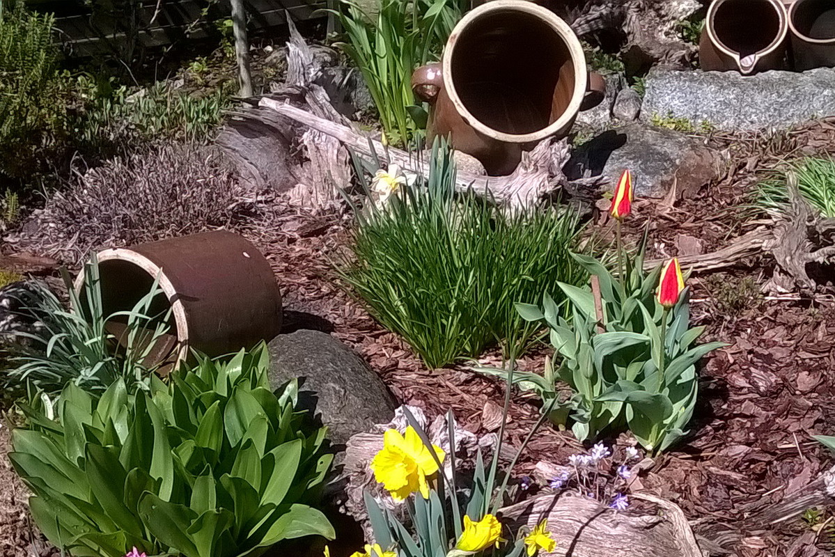 przed wejściem do ogrodu