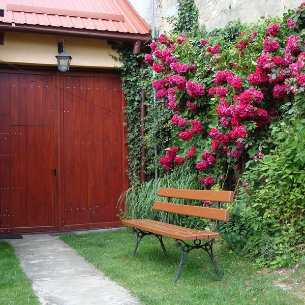 Przydomowy zakątek różany - idealne miejsce do czytania.