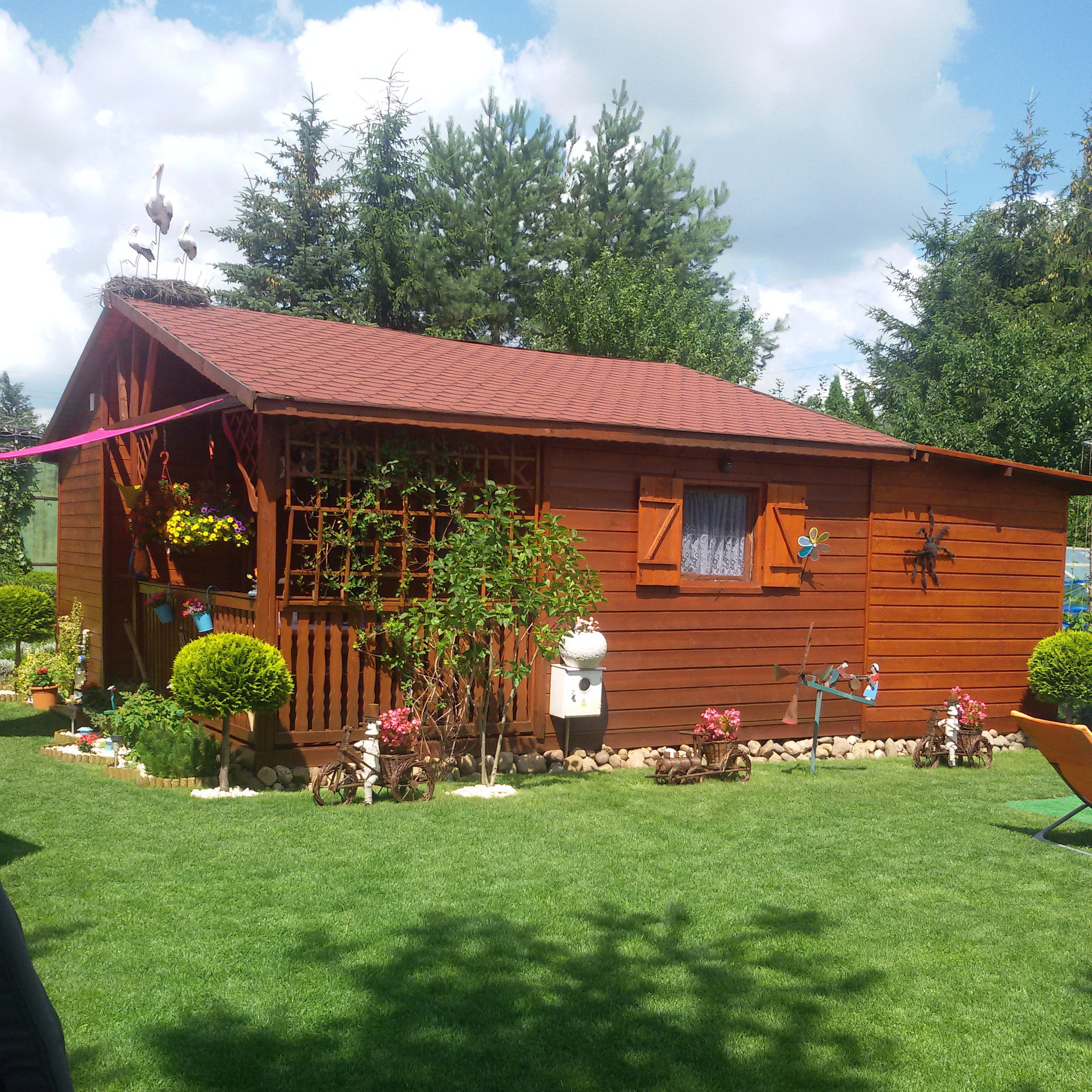 Przyleciały bociany