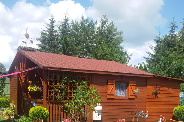 Przyleciały bociany