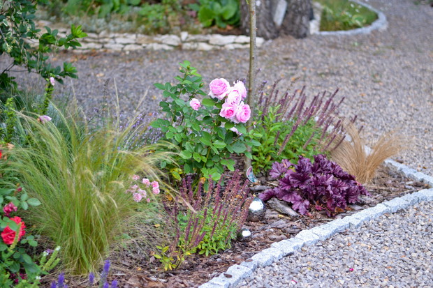 Rabata na której znajdują się róże, szałwie, kocimiętki, ostnice, żurawki, a pień widoczny na zdjęciu należy do wierzby hakuro-nishiki. Dodatkiem są chromowane kulki ( taka ogrodowa biżuteria).