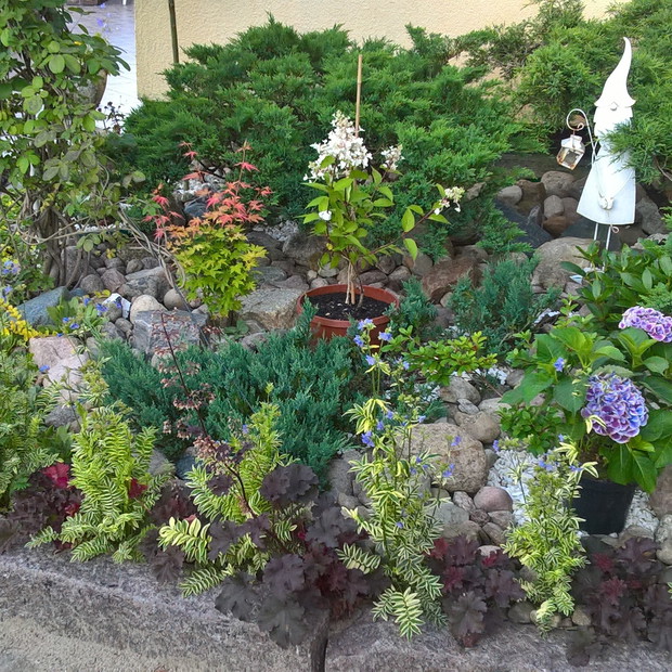 Skalniak przy wejściu do domu stylizowany na mini chiński ogródek