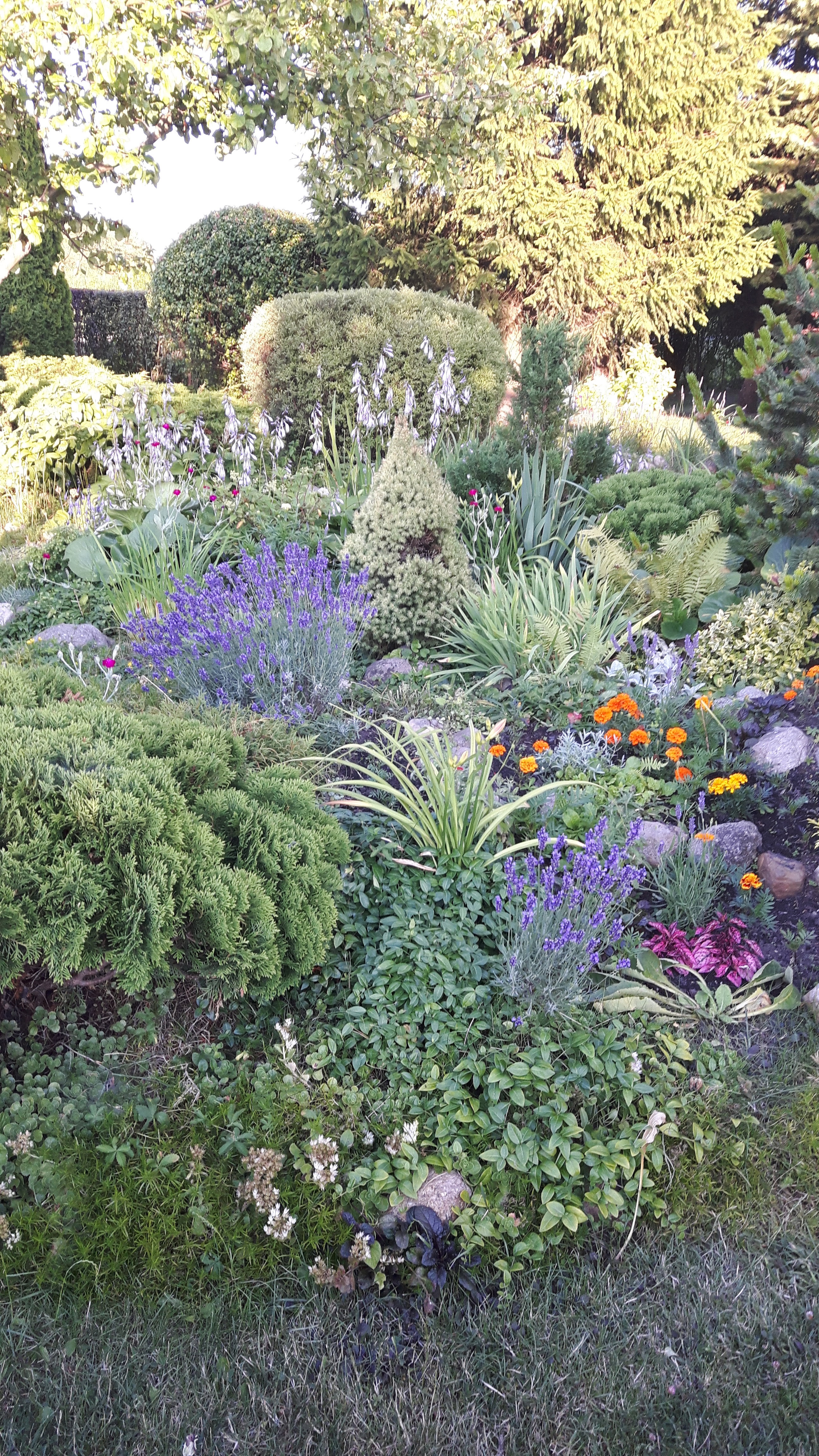 Skalniakowe różności 