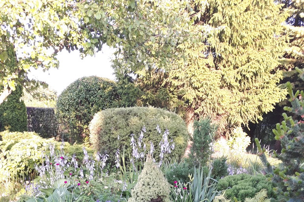 Skalniakowe różności