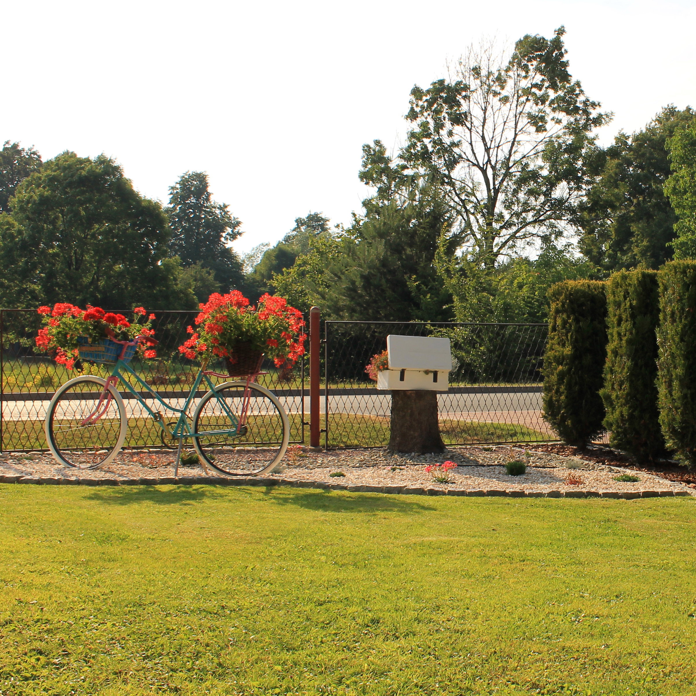 Stary rower dostał drugie życie