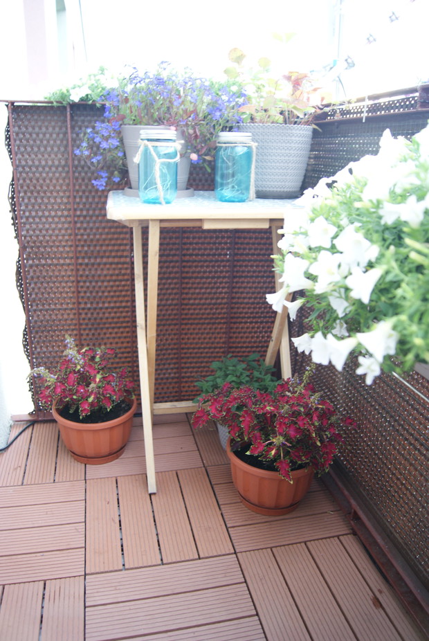 Surfinie, coleus, heliortop, poziomka, lobelia.