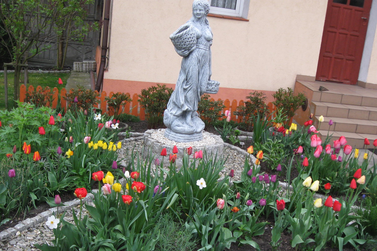 Tulipany i narcyzy