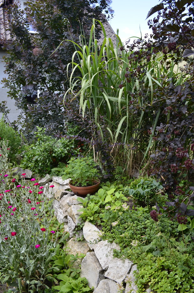 Uwielbiamy naturalne materiały- tutaj lokalny wapień.