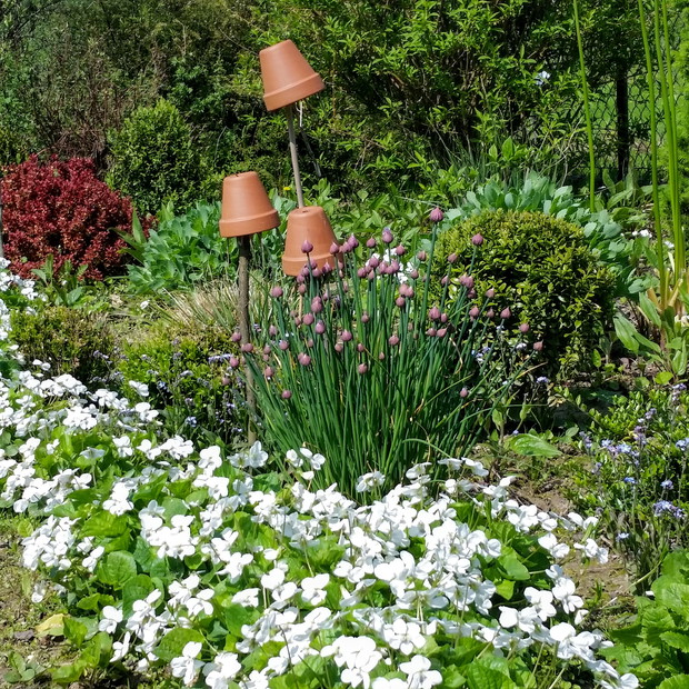 Wczesną wiosną....