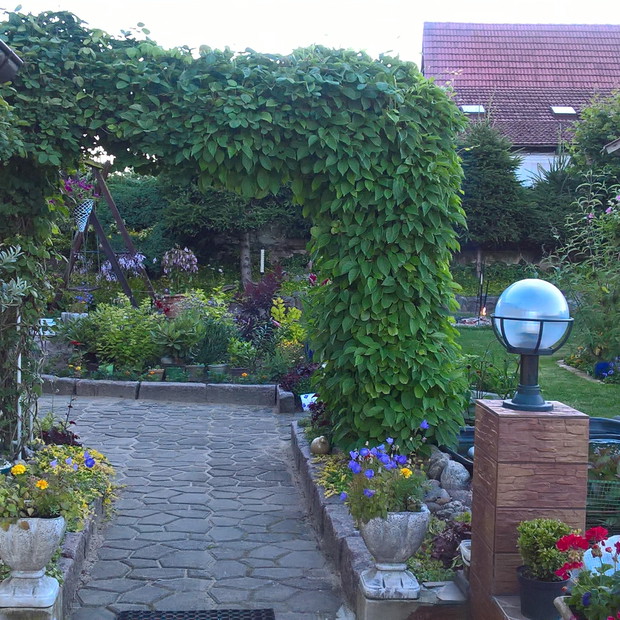 wejście do ogrodu od strony domu