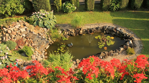 Widok na oczko wodne z balkonu