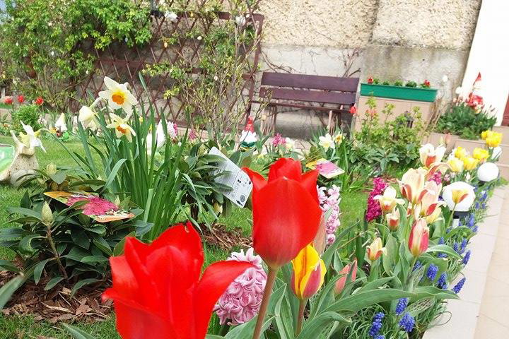 wiosna to najpiękniejsza pora roku w naszym ogrodzie