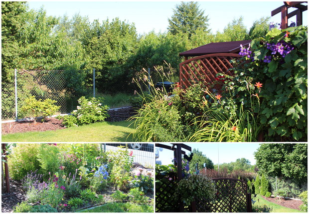 Zachodni zakątek. Liliowce, powojniki, róże. W oddali młode jeszcze rododendrony. Taki mały azyl, odgrodzony od ulicy pergolką.