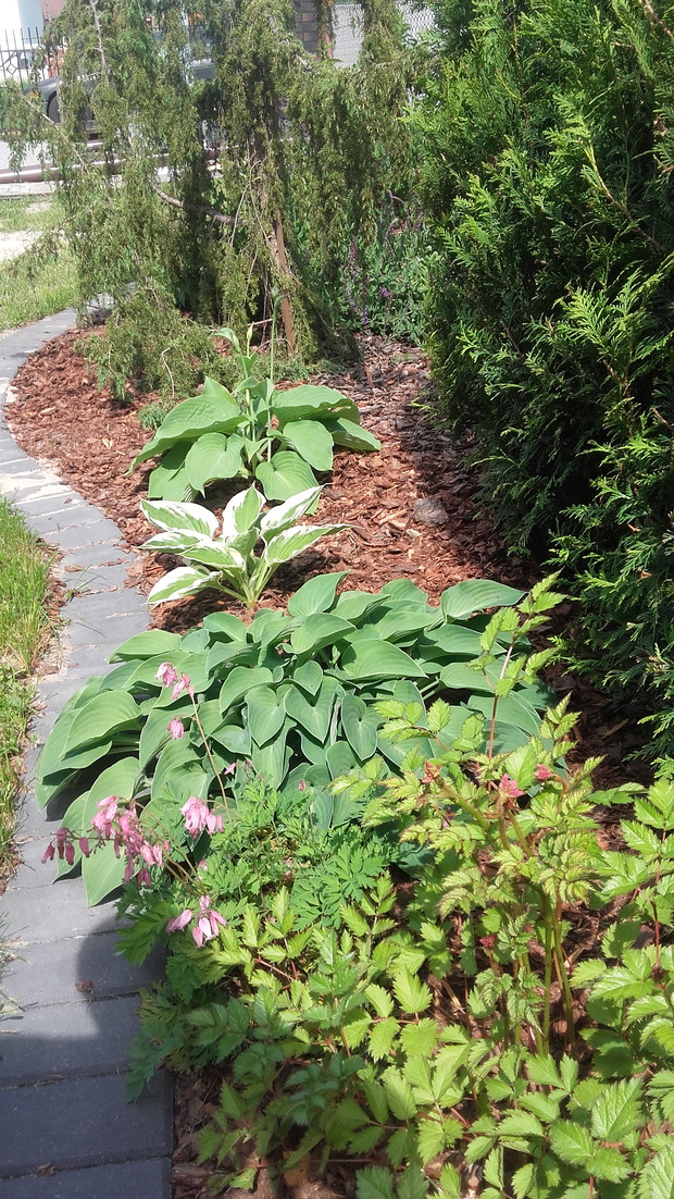 Zacieniony zakątek 3