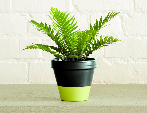 (zdj.: materiały prasowe)